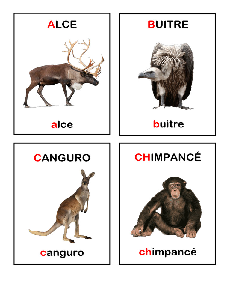 Abecedario de Animales para Imprimir | PDF