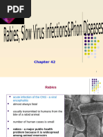 Advances in Virus Research (Vol 79) (Rec. Advs in Rabies