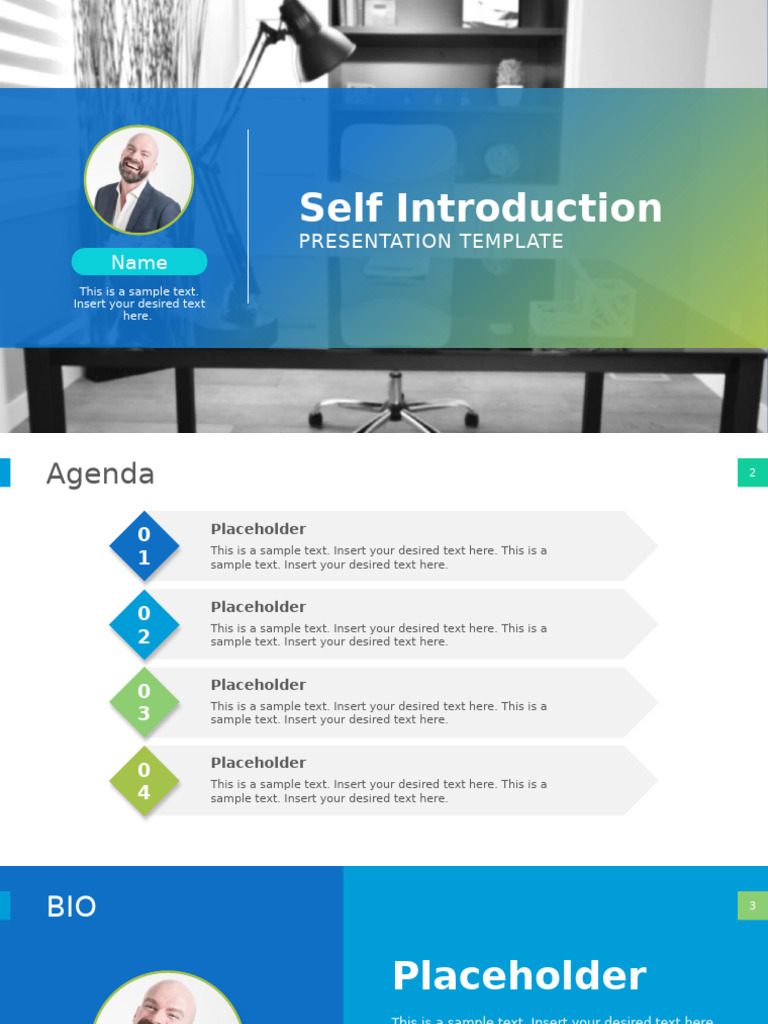 Professional Presentation Template | PDF