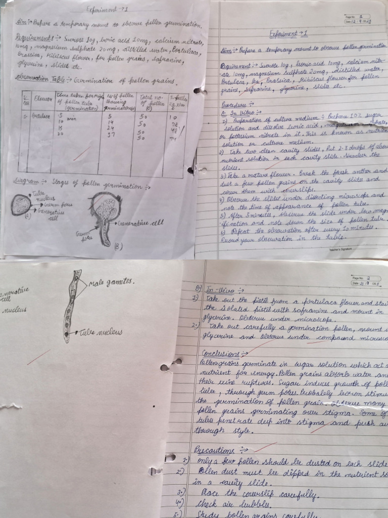 Bio Practicalfile | PDF
