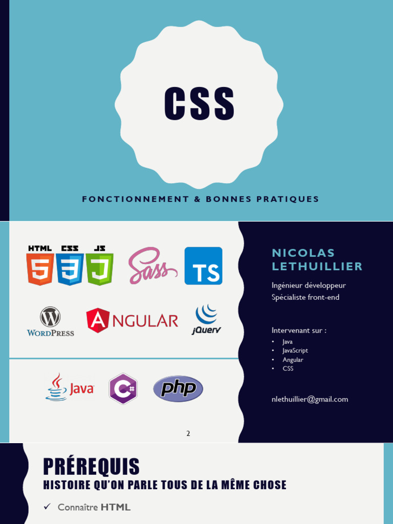 Guide Pratique du CSS pour Développeurs | PDF | Html | Internet