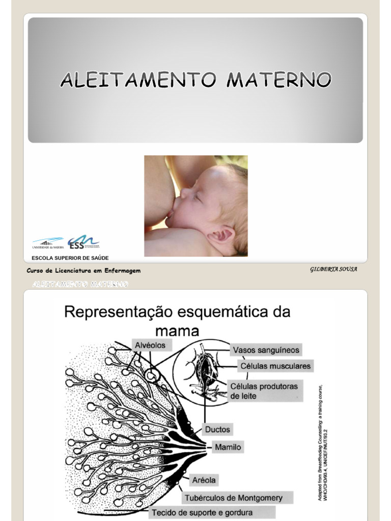 Anatomia e Fisiologia da Mama Lactante | PDF | Amamentação | Lactação
