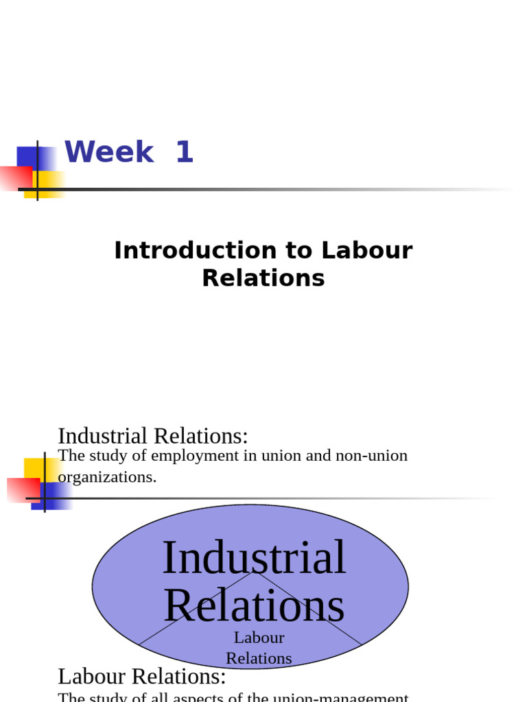 Introduction to Labour Relations Overview | PDF | Employment | Trade Union