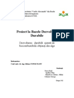 Proiect BDD