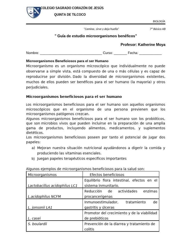 Microorganismos Beneficiosos para la Salud | PDF | Alimentos | Las ...