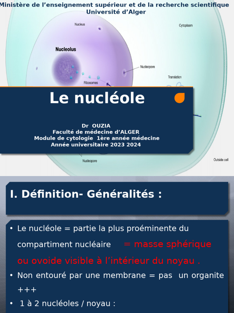 Rôle et structure du nucléole | PDF | Acide ribonucléique ribosomique ...