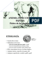 Anemia Infecciosa Equina-PDF