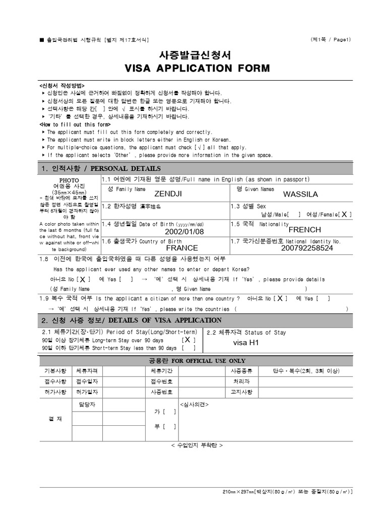 Visa Application Form 17 | PDF