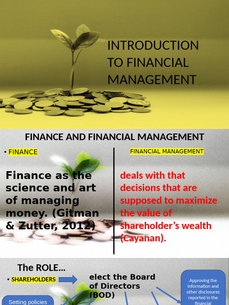 Organizational Structure Roles of Fin Manager Financial Institution ...