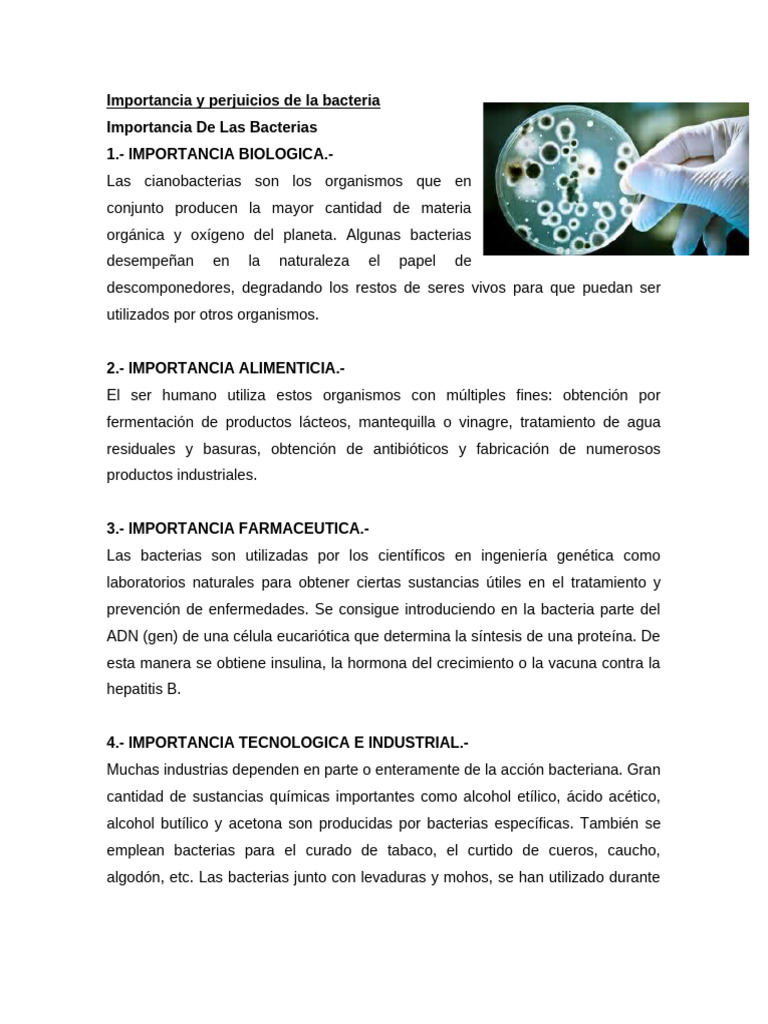 Importancia y Perjuicios de La Bacteria | PDF | Las bacterias | Fermentación