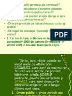 Reguli de Circulatie