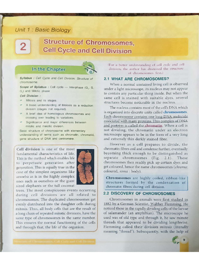 Concise Biology Class 10 Chapter 2 | PDF