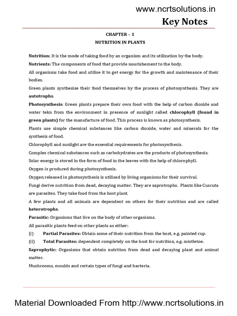 Classs 7 Nutrition in Plants Science Biology | PDF | Nutrition | Diet ...