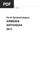 Perfil Epidemiologico Armenia.