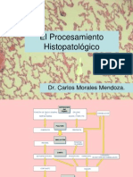 PRACTICA 1. El Procesamiento Histopatologico