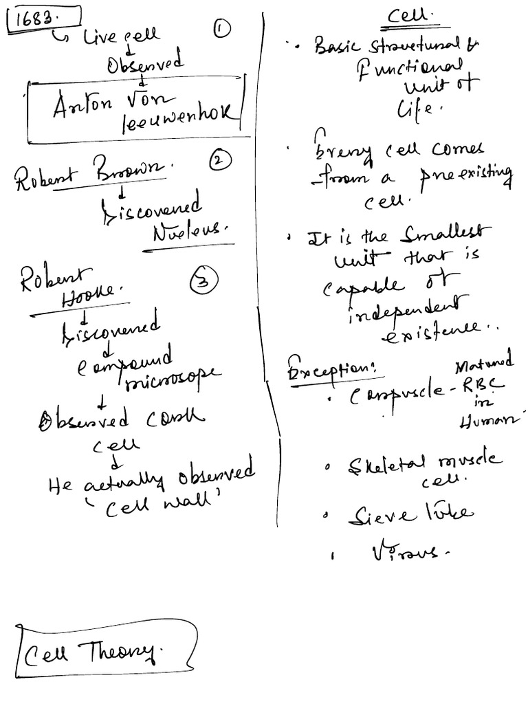 Cell Notes Upto PM Eng | PDF
