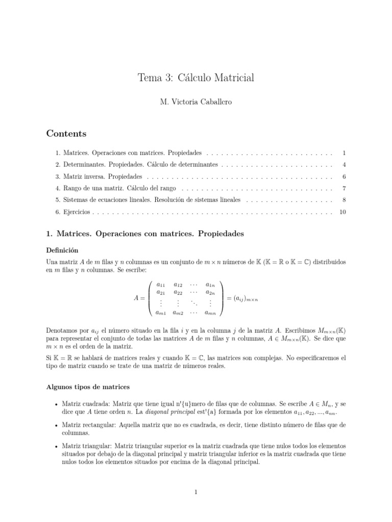 03 Tema3 | PDF | Matriz (Matemáticas) | Sistema de ecuaciones lineales