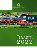 Livro Brasil 2022