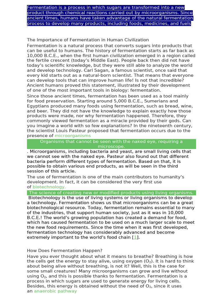Understanding Fermentation as a Chemical Change | PDF | Lactic Acid ...