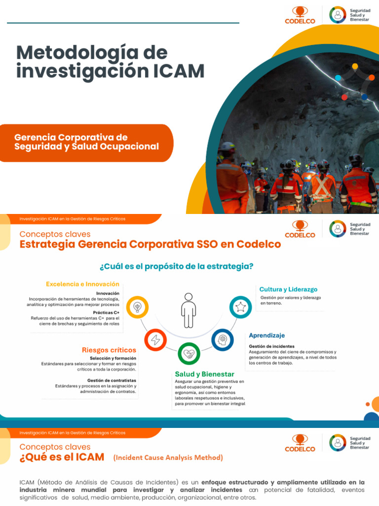 Metodología ICAM en Gestión de Riesgos | PDF