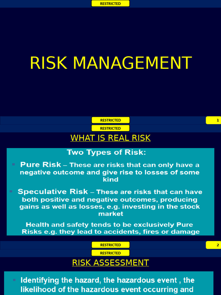 Comprehensive Risk Management Guide | PDF