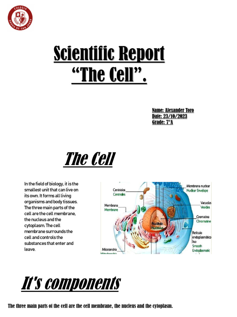 The Cell Alexander Toro 7A | PDF