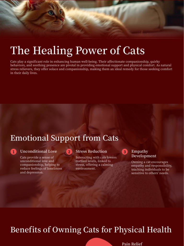 Healing Benefits of Cat Companionship | PDF | Cats | Pet