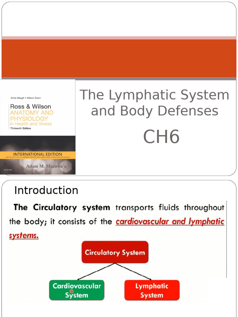 CH 6 Lymphatic System | PDF | Lymph | Lymphatic System