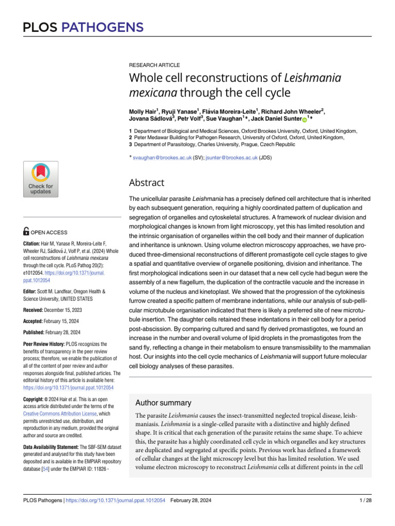 Whole Cell Reconstructions of Leishmania Mexicana | PDF | Mitosis ...