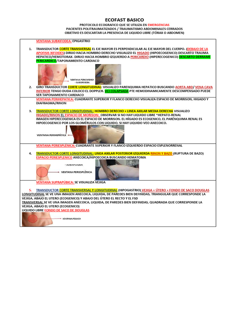 Protocolo ECOFAST en Emergencias | PDF | Riñón | Tórax
