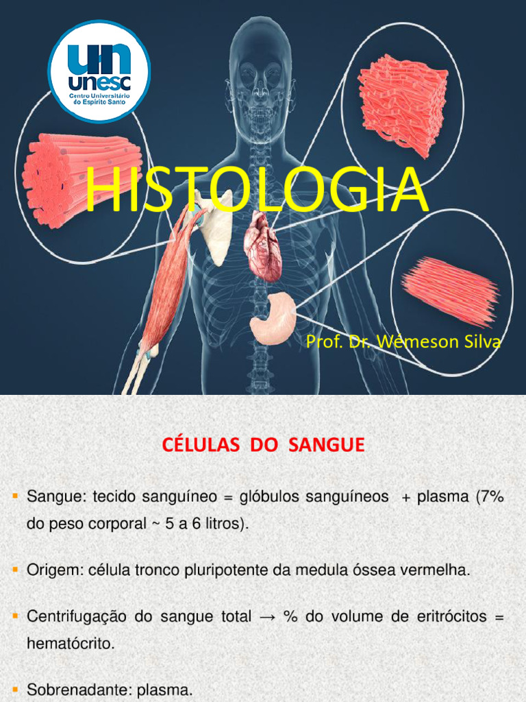 Sunnylife Cooler Bag - Sea Sage Stripe