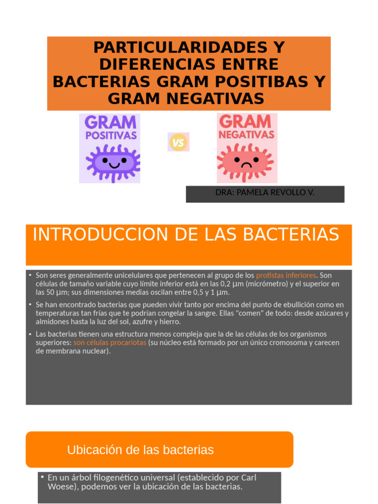 Bacterias Gram Positivas y Negativas: Diferencias | PDF | Las bacterias ...