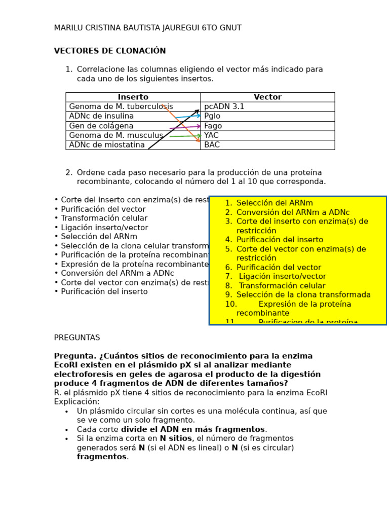 Ejercicio Vectores de Clonación | PDF | Plásmido | Adn Ligase