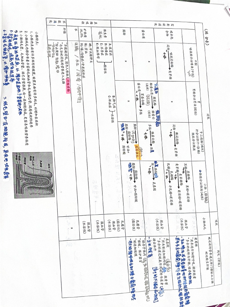 Scanned Documents | PDF