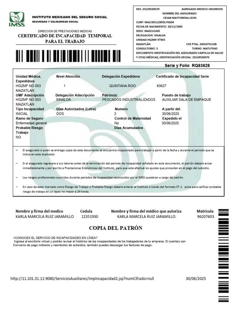 Servicio de Incapacidades IMSS | PDF