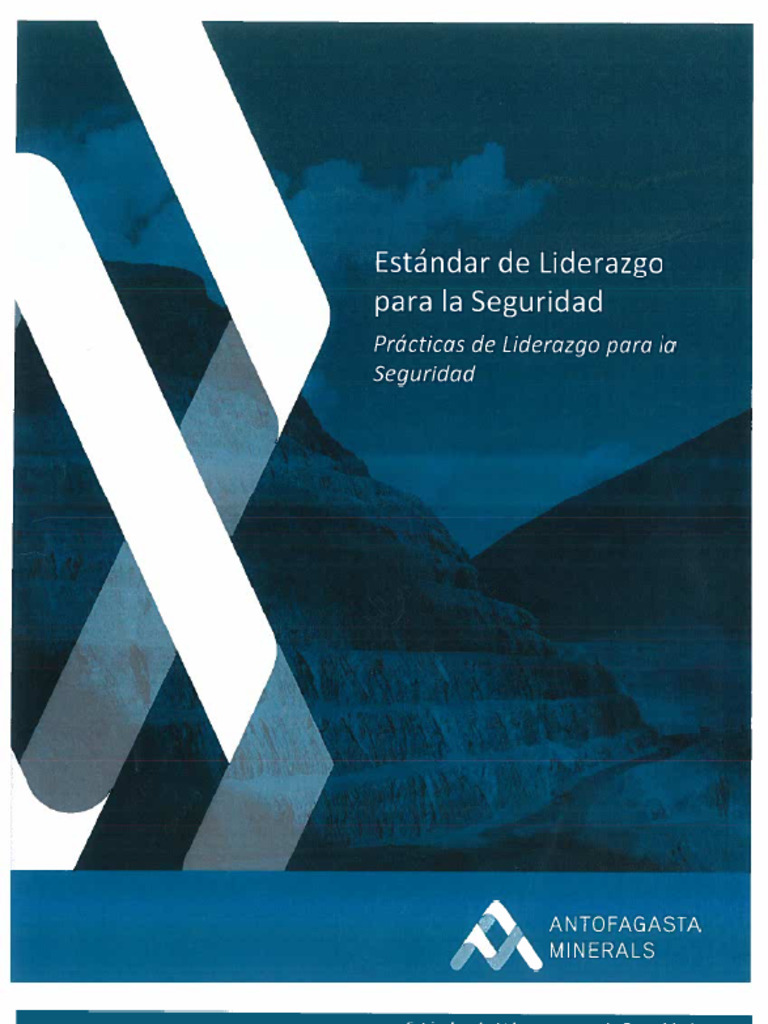 Estándar de Liderazgo para La Seguridad | PDF