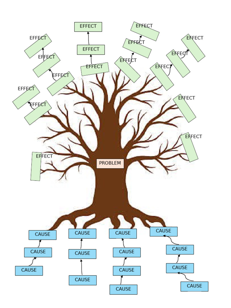 Understanding Causes and Effects | PDF