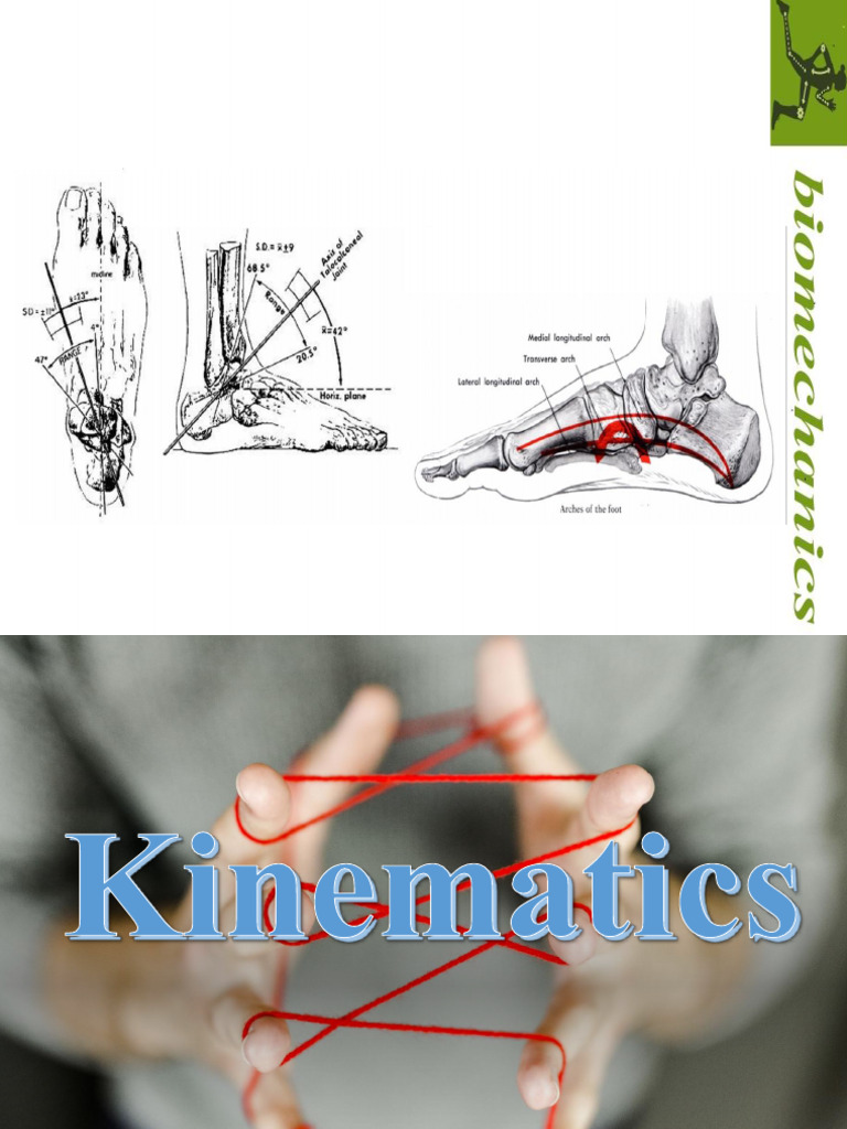 Talocrural Joint Biomechanics Overview | PDF | Foot | Ankle