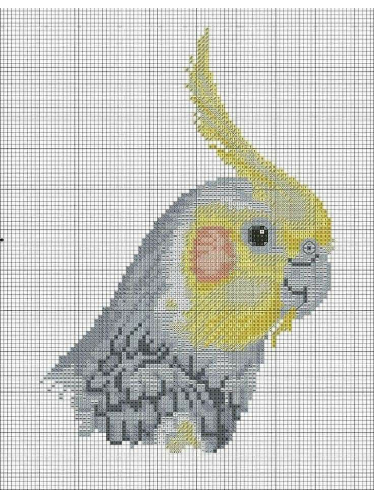 Cute Cockatiel 17 Cross Stitch Pattern | PDF