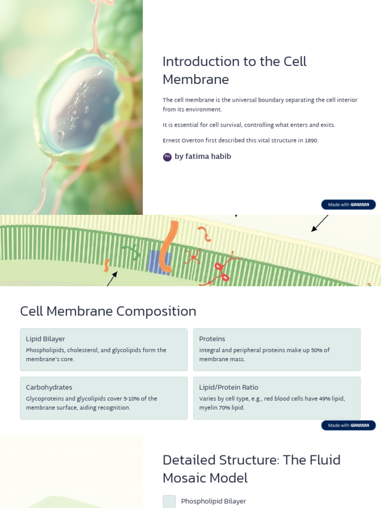 Understanding Cell Membrane Structure & Function | PDF | Cell Membrane ...
