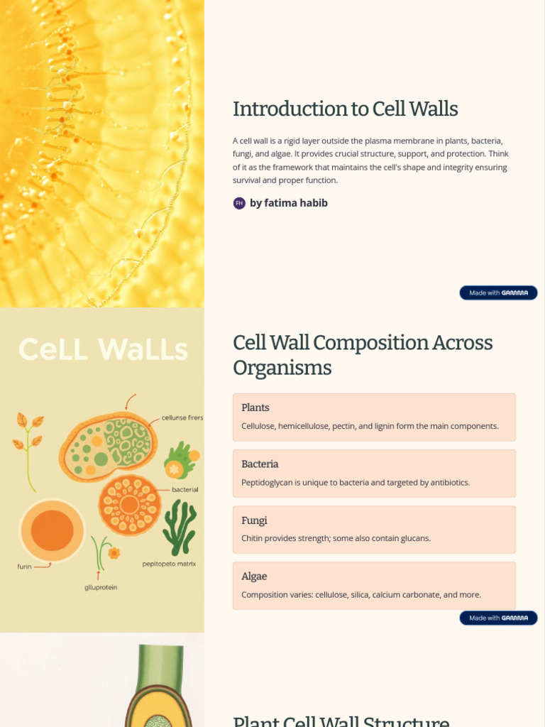 Understanding Cell Wall Functions and Structures | PDF | Cell Wall ...