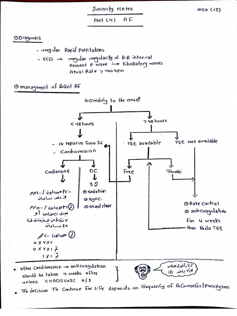Juniority Notes Part 4-1 | PDF