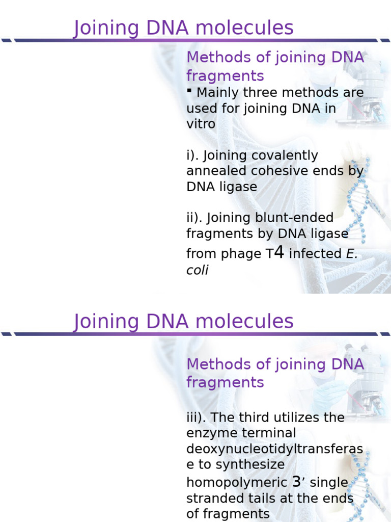 Lesson - 37 - Methods of Joining DNA Fragments | PDF