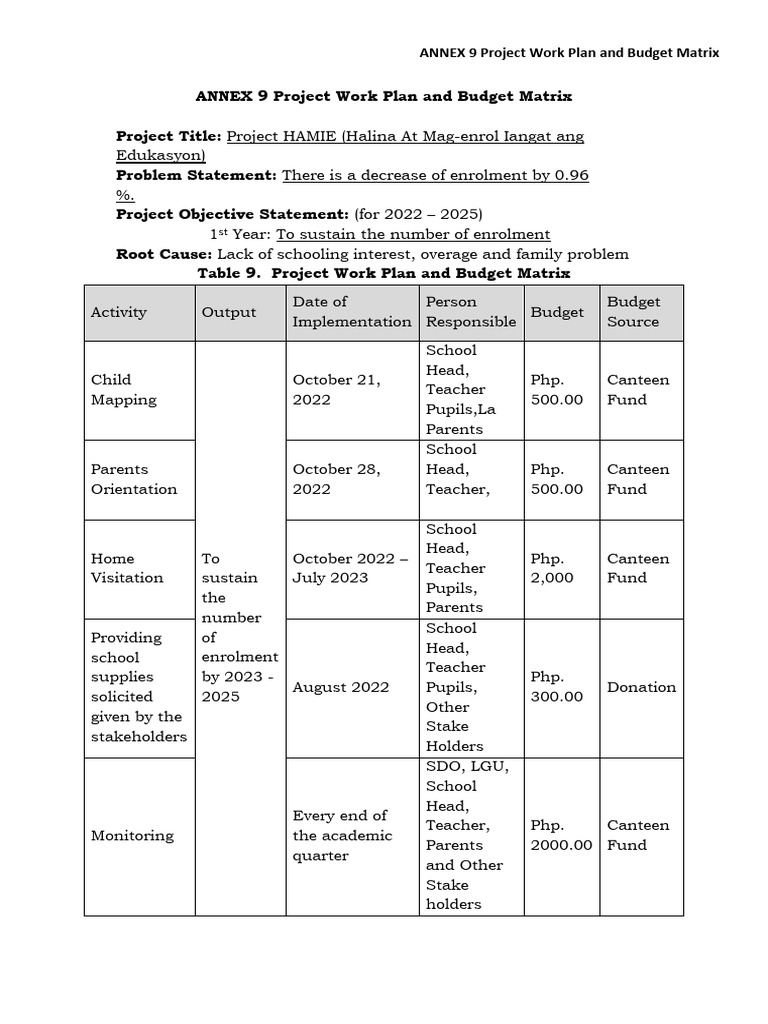 Project Work Plan and Budget Overview | PDF