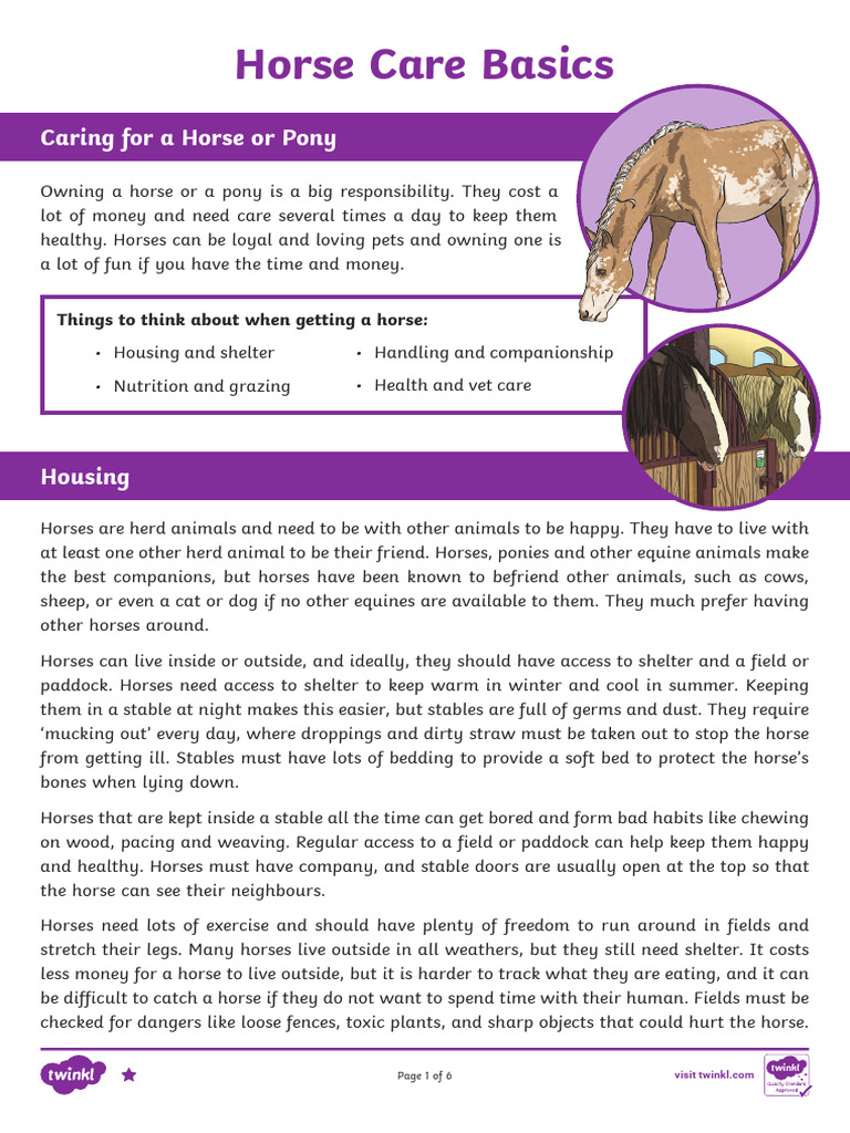 Essential Horse Care Guide | PDF | Horses | Domesticated Animals