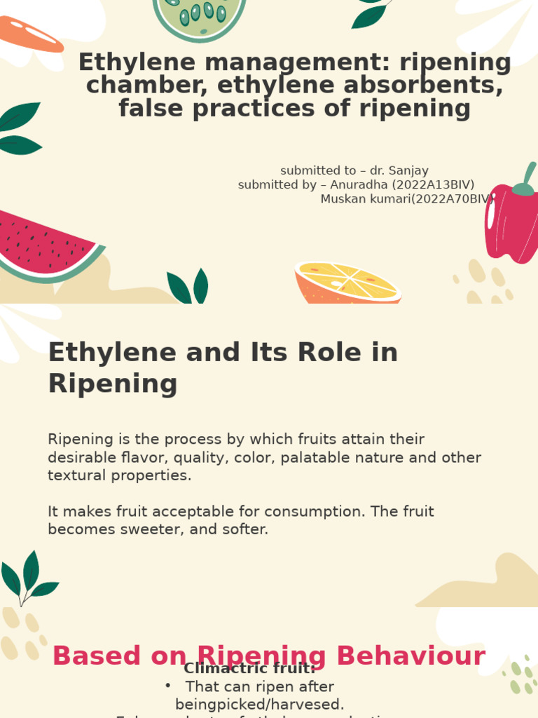 Ethylene's Role in Fruit Ripening | PDF