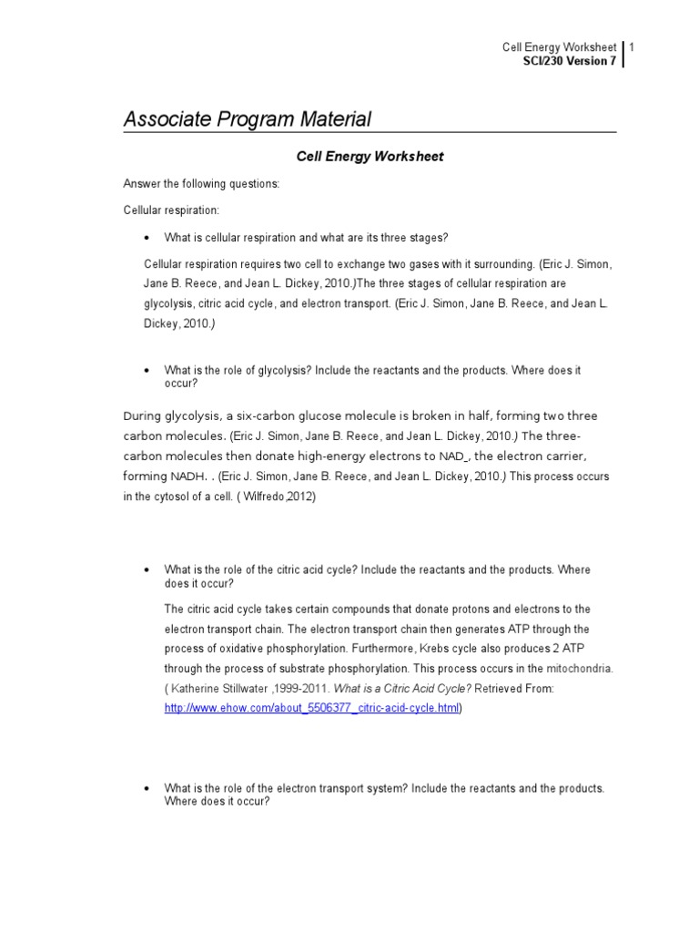 Cell energy worksheet essay picture