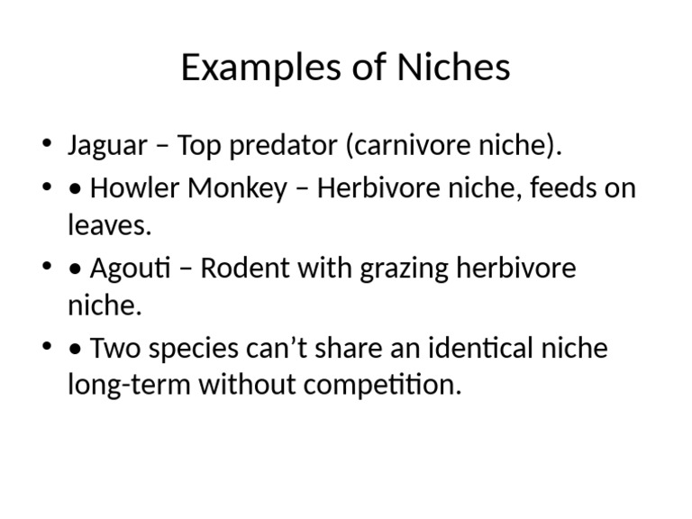 Niche Examples in Ecosystems | PDF