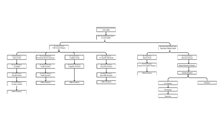 Company Leadership and Team Structure | PDF