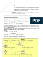 2 Resumen Metabolismo Celular NEW